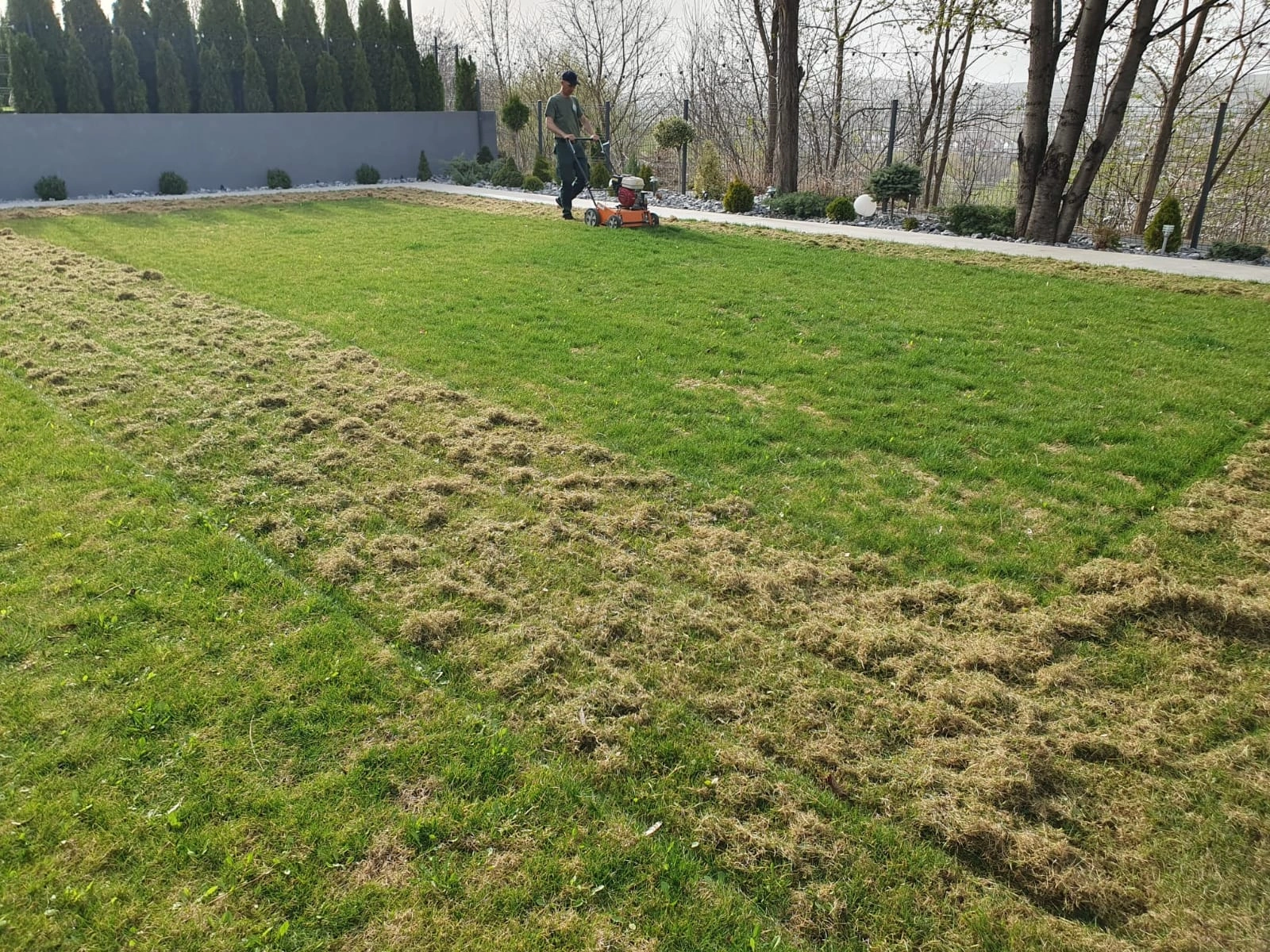 Scarificare gazon natural in Suceava si imprejurimi